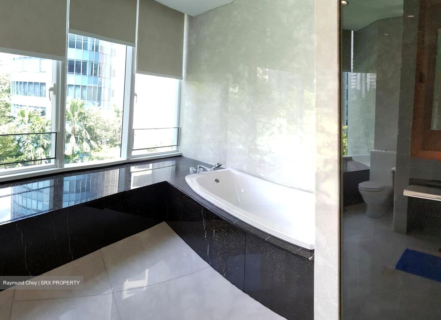 St. Regis Residences (D10), Apartment #453411381